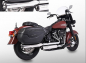 Preview: SALE: MILLER - Destiny - silber - 2-2 - SlipOn -Euro 5 / HD Softail / 107 - 114 - 117 cui - ab 2021/ EG-BE