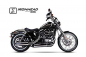 Preview: IRONHEAD Auspuff SlipOn / silber / HARLEY Sportster XL 883/1200 / 04-13 / EG-BE