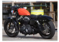 Preview: TB Kupplungsdeckel - DARK STAR / HD Sportster - ab 2004 / schwarz - silber