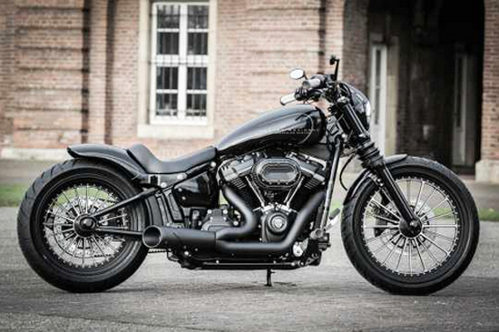 TB - HECKFENDER Steel / Softail 00 - 07 / bis 260 mm Reifen / 18" / Tüv